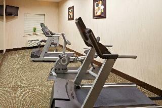 Holiday Inn Express Hotel & Suites Cedar Hill