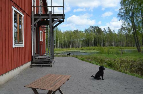 Agroturismo Pensionat S�gknorren