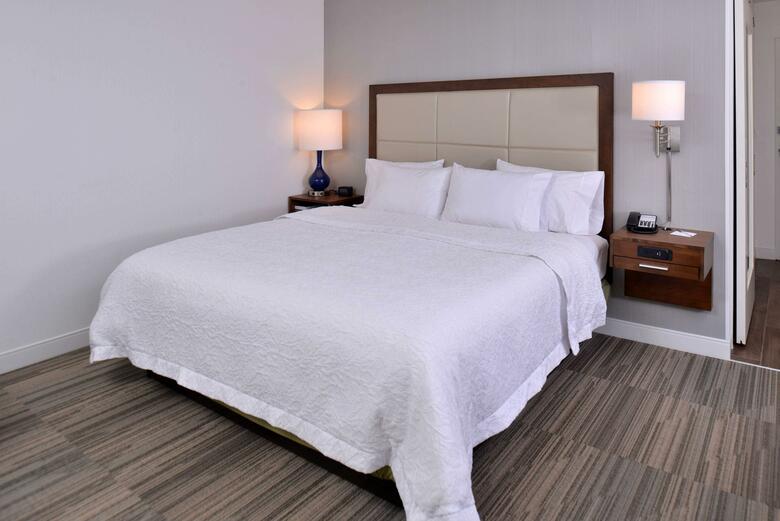 Hotel Hampton Inn And Suites Ann Arbor-west, Mi