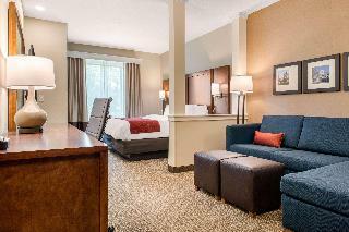 Hotel Comfort Suites Columbus Airport