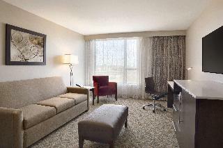 Hotel Holiday Inn Chicago - Schaumburg