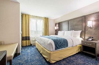 Hotel Comfort Suites Humble Houston At Beltway 8