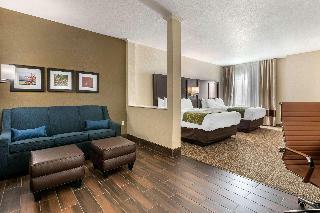 Hotel Comfort Inn Suites Cedar Rapids Cid Eastern Iowa