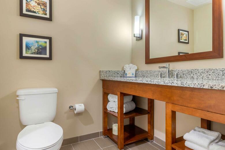 Hotel Comfort Inn Suites