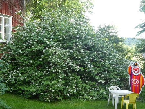 Albergue Pr�stmyrens Vandrarhem