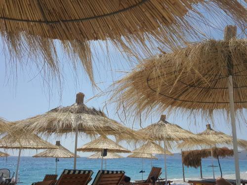 Hotel Summer Land