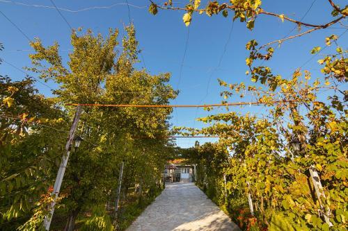 Lodge Vila 1
