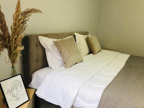 Opera Apartments - Choose Balkans