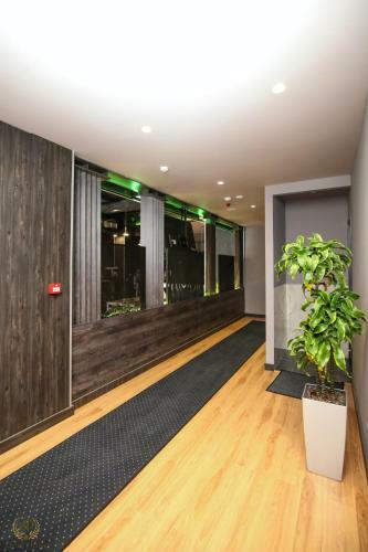 Hotel Olive