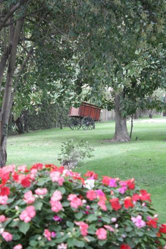 Hostal Cari�o Rosao