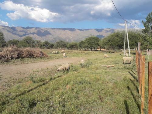 Posada de Campo Ayres Del Golf