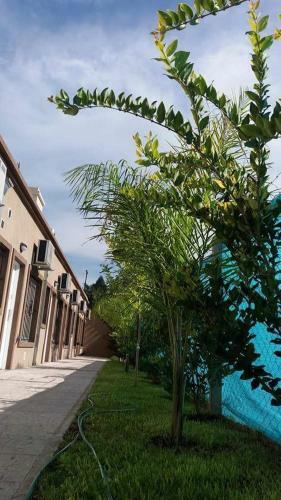 Apartamento Las Casuarinas