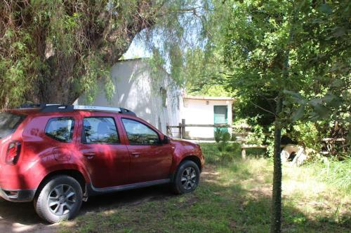 Caba�a En Olivar Centenario Agroecol�gico Tutuna