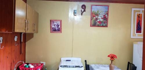 Lodge Caba�a Yguaz�