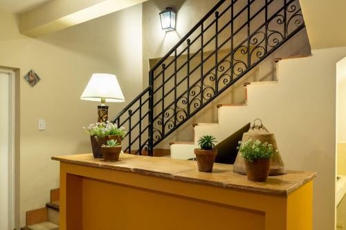 Apart La Vi�a
