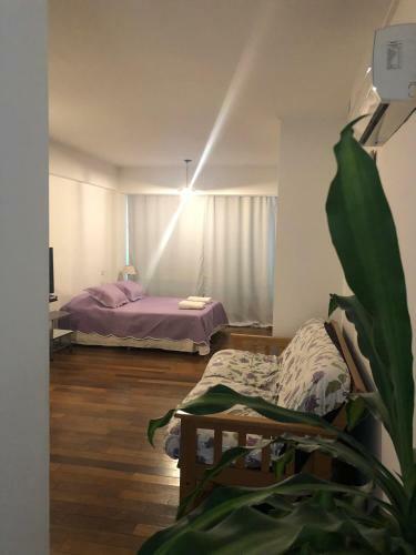 Apartamento Fabulous Studio! Sanatorio Brit�nico, R�o Y M�s.