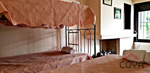 Coya Hostel