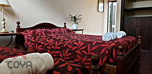 Coya Hostel