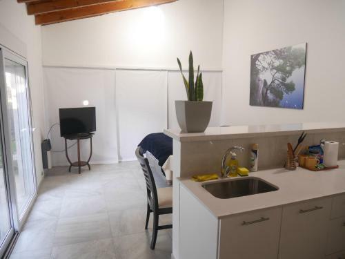 Apartamento Monoambiente Con Cochera