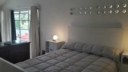 Suites & Tent Experience