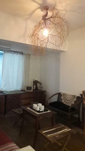 Suites & Tent Experience