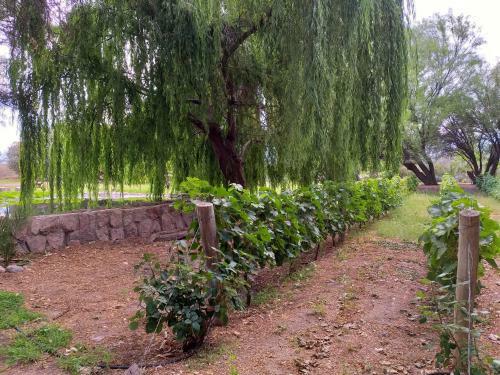 Lodge Estancia Del Olivo