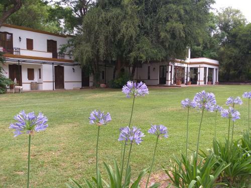 Lodge Estancia Del Olivo
