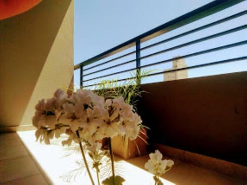 Apartamento Hola La Plata Deptos Temporarios