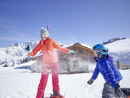 Chalet Blaikner