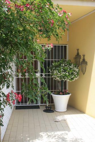 Hostal A Summer Place Boutique Guest House