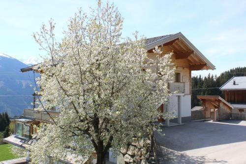 Apartamento Gutshof Harlandleiten