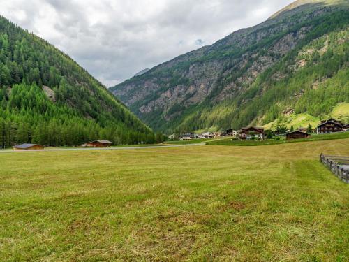 Elegant Apartment In Zwieselstein With Balcony