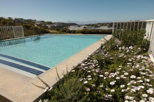 Self At Plett
