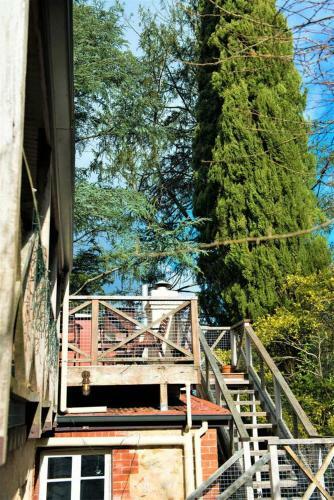 Apartamento Adelaide Hills 'camellia Cottage' - Wifi