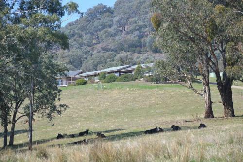 The Homestead At Holmeslgen At Eildon