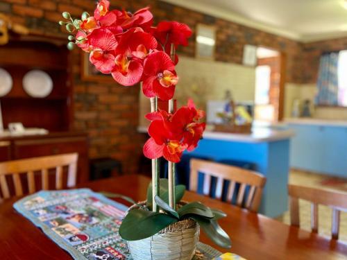 Bromeliads Unit 2 7 Ballanda Crescent