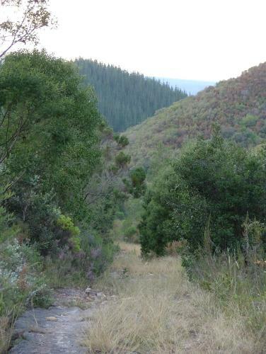 Hostal Protea Wilds Retreat