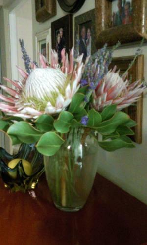 Hostal Protea Wilds Retreat
