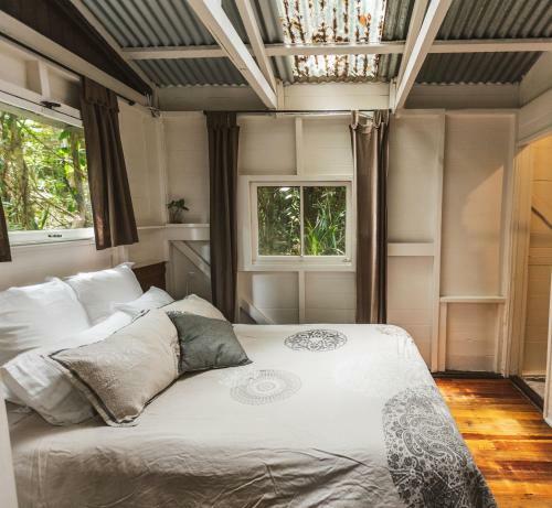 Lodge Cassowary House