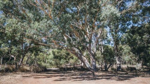 Kangaroo Retreat