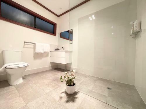 Apartamento Grape Juice Studios 4km To Town And Surfers Point