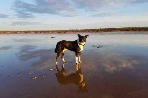 A1 Sea Lake Silo Home With A View (Pet Friendly)