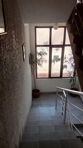 Hostel Kosmopolit