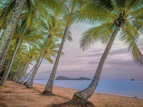 Sea Temple Penthouse - Palm Cove