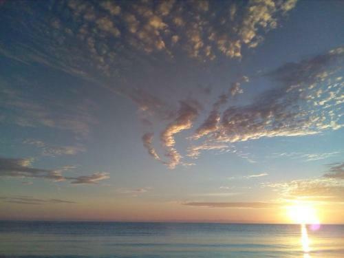 Turtle Reef Bed & Breakfast Cairns