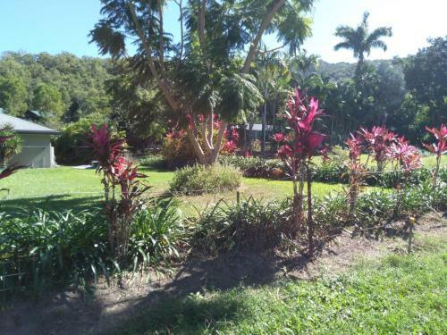 Turtle Reef Bed & Breakfast Cairns