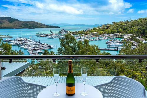 Kingfisher On Hamilton Island