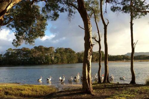 Lakehouse On Oxley