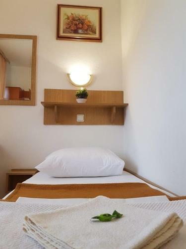 Hostal Pansion Park