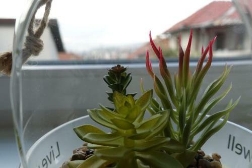 Apartamento Old Town Serenity